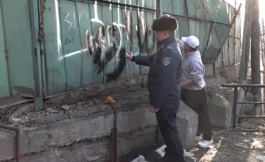 В Алматы разыскивают вандалов, рекламирующих наркотики