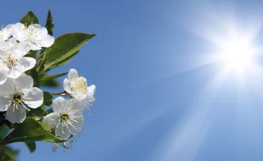 Весеннее равноденствие: когда оно наступит в 2026 году