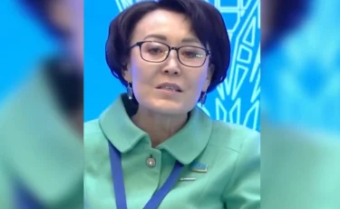 Халықаралық шарттарды қолдану тәртібі заңмен нақтыланады - Үнзила Шапақ