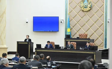 Сенат креативті индустрияларды қолдау және дамыту туралы заңды мақұлдады