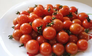 В кино с помидорами: ученые создали новый сорт томатов с ароматом попкорна