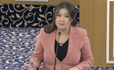 Сот шешімінсіз баспанадан шығаруға жол бермеуді Қазақстанның жаңа Конституциясында бекіту ұсынылды