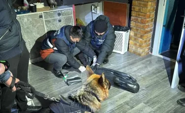 Шары с закисью азота: полиция Кызылорды провела рейд в клубе