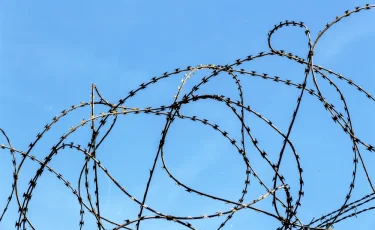 Подозреваемого в серийном мошенничестве экстрадировали в Казахстан