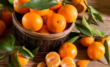 Новый сорт мандаринов вывели в Узбекистане