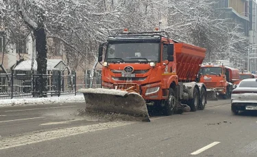 4 мыңнан астам жұмысшы мен 1250 техника: Алматы көшелері тәулігіне төртінші рет тазартылып жатыр