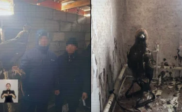 Раскрыта контрабанда: краснокнижных птиц Казахстана вывозили за границу