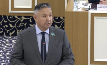 Партия «Ақ жол» поддерживает проект новой Конституции – Азат Перуашев