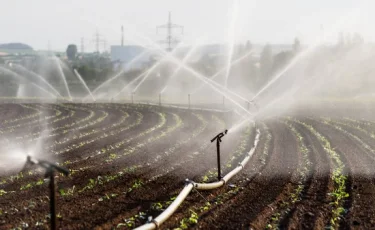 Правительство утвердило лимиты водопотребления для обеспечения стабильного вегетационного периода