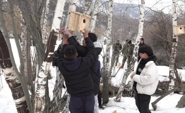 Таза Қазақстан: студенты колледжа соорудили и установили скворечники в горах Алматы