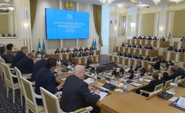 Жаңа Конституция жобасында меншік нысандарының анықтамасы барынша нақтылануы мүмкін