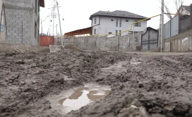 Батпаққа батқан ауыл: бесағаштықтар мердігер жұмысына наразы