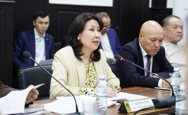 Жаңа Конституция жобасы өңірлердің дауысын айқындайды - Айгүл Сәдуақасова