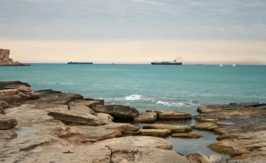 Правительство выделило на изучение и сохранение Каспия 1,1 млрд тенге