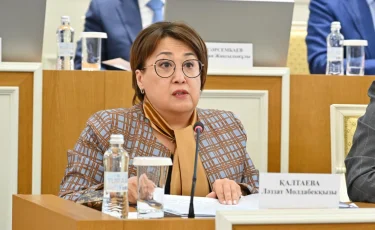 Жаңа Конституция мәтінін инклюзивті форматтарға аудару ұсынылды