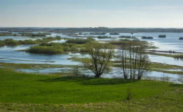 Касым-Жомарт Токаев поручил усилить подготовку к паводкам и засухе
