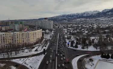 Зелёный вектор: какие решения помогут улучшить экологию Алматы ближайшие годы