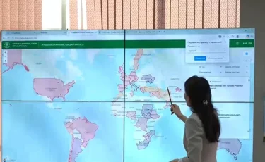 В Казахстане впервые разработали эпидемиологическую онлайн-карту