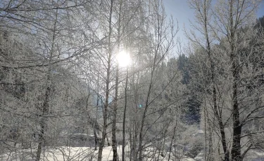 Зима не прощается: в ВКО похолодало до -42 градусов