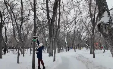 Необычное хобби: жители Петропавловска «охотятся» на птиц с фотоаппаратами