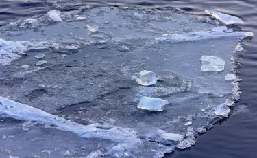 В Таразе прохожий спас ребёнка, провалившегося под лёд