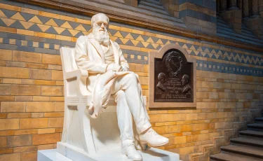 Международный день науки и гуманизма отмечают в мире 12 февраля