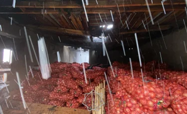 В Таразе загорелся склад с 10 тоннами лука