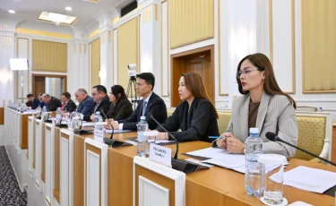 Новая Конституция четко разграничивает права гражданина и права человека – Индира Аубакирова