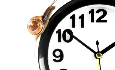 Спеши медленно: 26 февраля отмечают Всемирный день неторопливости