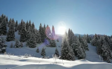 Погода в Алматы с 16 по 22 февраля 2026