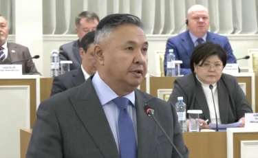 В новой Конституции Казахстана предложили закрепить более широкое определение форм собственности