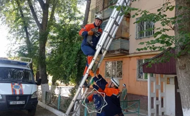 Братья наши меньшие: более 400 животных спасены по всей стране