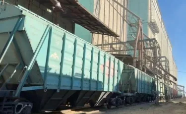 Жаңа өнімнен 5,8 млн тонна астық экспортталды