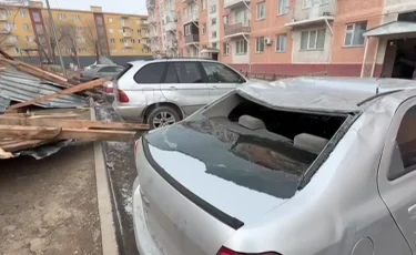 Разлетались ветки деревьев и провода: в Жамбылской области разбушевался ураган