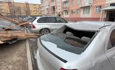 Разлетались ветки деревьев и провода: в Жамбылской области разбушевался ураган