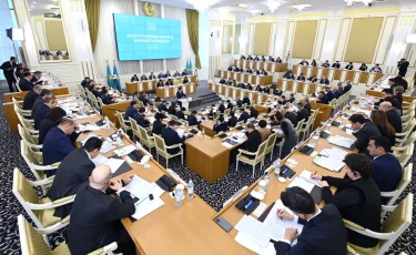 Жаңа Конституцияда еркіндік пен жауапкершілік бір арнаға тоғысады – белгілі журналист