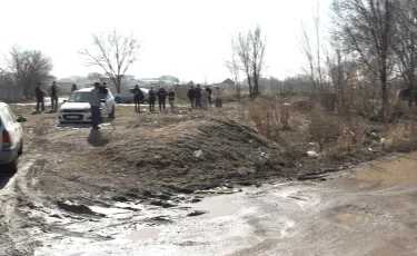 Сворa собак едва не растерзала женщину в Алматинской области