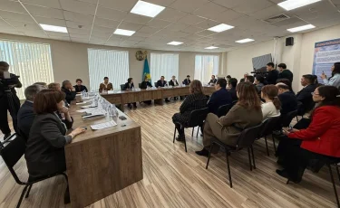 Парламентаризм институтының сарапшылары жаңа Конституция жобасын қолдады