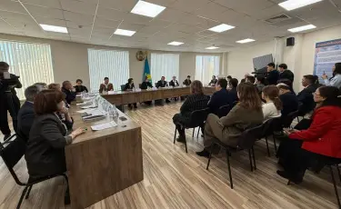 Парламентаризм институтының сарапшылары жаңа Конституция жобасын қолдады