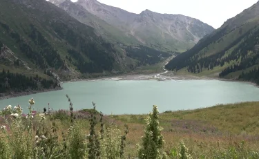 Іле-Алатауы мемлекеттік ұлттық табиғи паркінің аумағында 380 келі ағаш тұқымы себілді