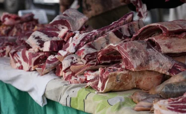 Сибирскую язву диагностировали у 75-летнего мужчины в Шымкенте