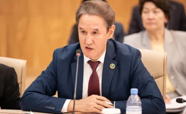 Құқықтық жаңғырудың жаңа кезеңі - Конституциялық реформалар туралы сарапшы пікірі