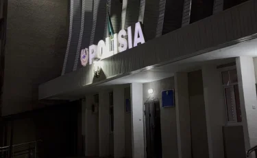 Семейде жаңа туған нәрестесін қоқысқа тастаған әйел үйқамаққа жіберілді