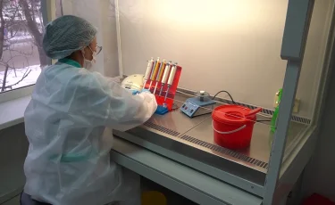 БҚО-да қызылша 50-ден астам адамнан анықталды