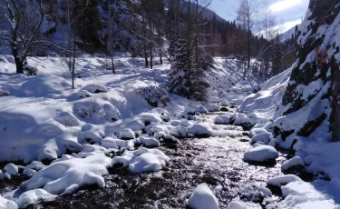 Погода в Алматы с 9 по 15 февраля 2026