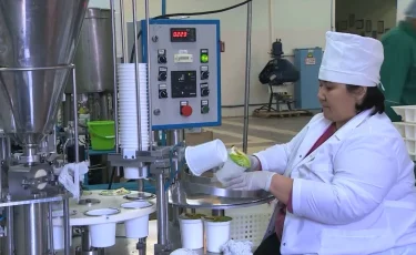 Более 600 казахстанских компаний не смогли зарегистрироваться в Реестре отечественных производителей