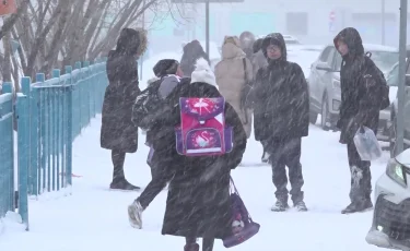 Қолайсыз ауа райы: елімізде 3 өңірде мектеп оқушылары қашықтан оқуға көшірілді