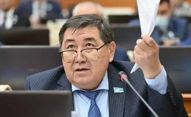 Ермұрат Бапи: Билік пен қоғамның ортақ ықыласы ғана бізді жасампаз болашаққа бастай алады