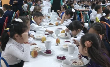 Мектеп оқушыларының тегін тамағына бөлінген қаржыны қайта қарастыруды ұсындық - депутат