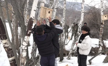 Қанат қаққан қамқорлық: алматылық студенттер құстарға ұя жасады